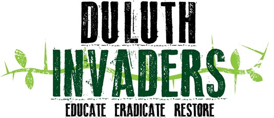 Duluth Invaders Logo 534X231