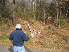 Buckthorn 227X170 Buckthorn 227X170