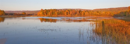 Image of the St. Louis River at sunset in fall, the trees are a brilliant rust backdrop with still calm water in the foreground. There is a patch of marsh grasses on the right.